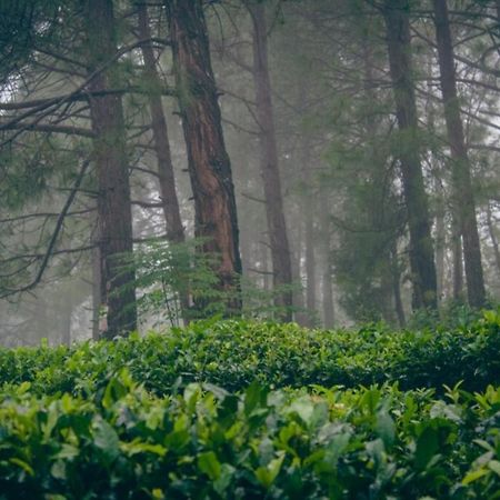 Himalaya Mount View Resort Kausani Εξωτερικό φωτογραφία